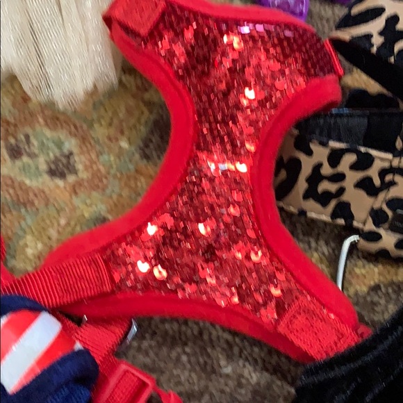 Dog halters and bows and dresses - Picture 6 of 8